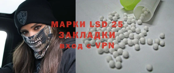 гашик Богданович