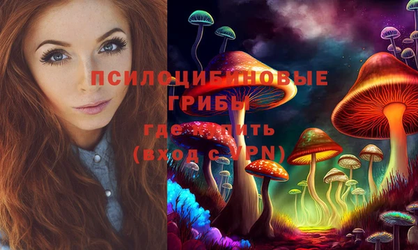 гашик Богданович