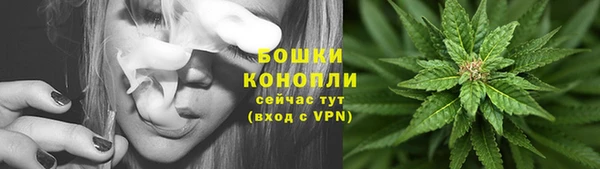 гашик Богданович