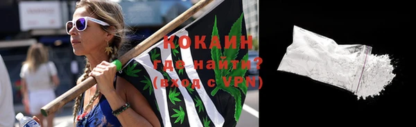 гашик Богданович