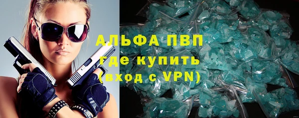 гашик Богданович