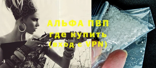 гашик Богданович