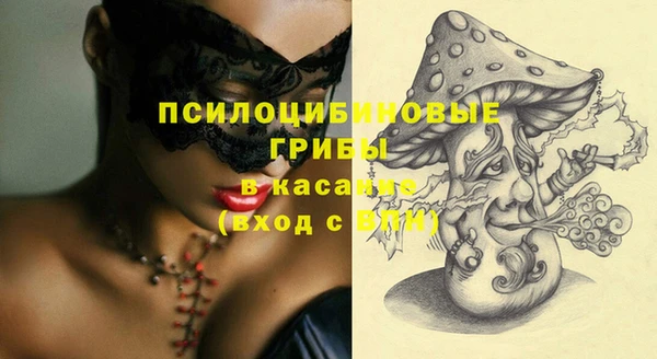 mix Богородицк