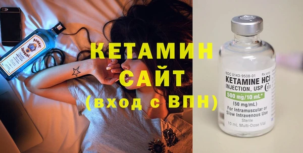 твердый Туринск