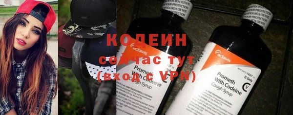 гашик Богданович