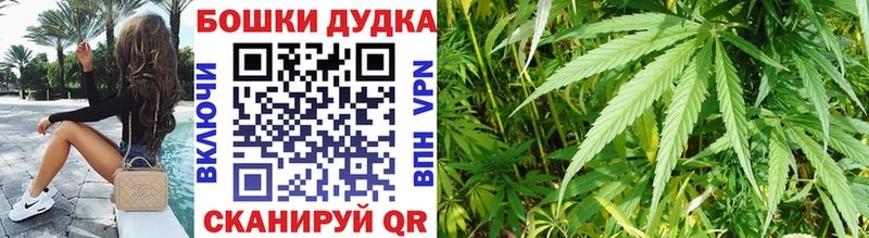 Канабис семена продажа наркотиков omg рабочий сайт Краснокаменск